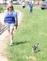 IMG_2286